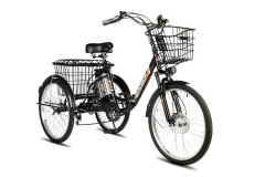 Электровелосипед РВЗ Чемпион 24 Электровелосипед РВЗ Чемпион 24