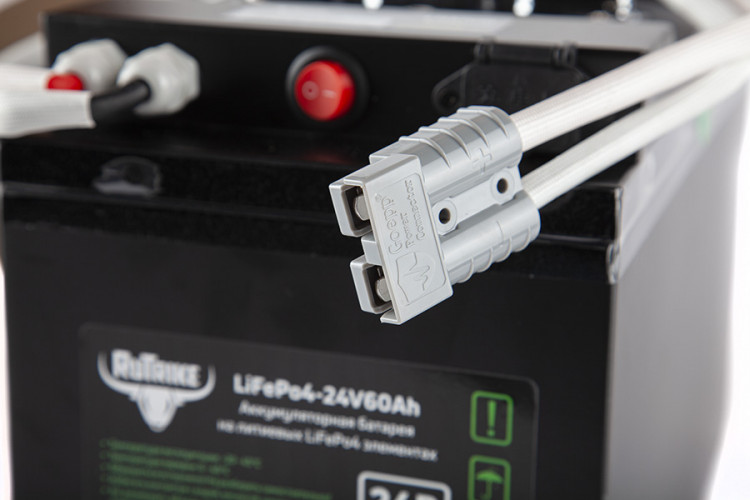 Тяговый железо-фосфатный аккумулятор RuTrike LiFePO4 60V48Ah (60А) в Хабаровске