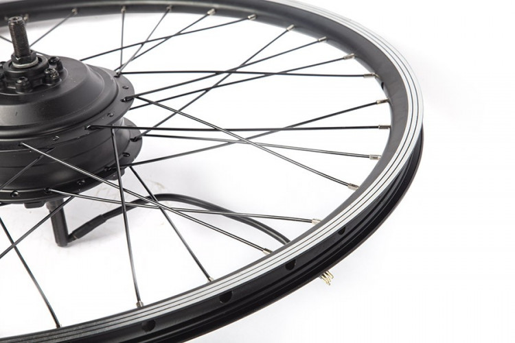 Мотор-колесо Eltreco 48V 500W LCD 20" АКБ 36V 10А/ч (FROG) в Хабаровске