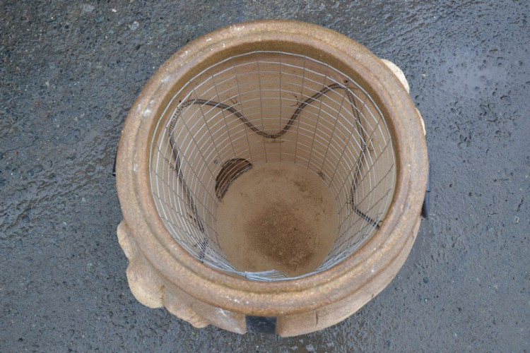 Тандыр Электрический Баран в Хабаровске