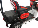 Пассажирский электротрицикл Rutrike Gelbert Lich в Хабаровске
