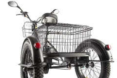 Электрофэтбайк Eltreco Green City e-ALFA Trike