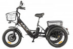 Электрофэтбайк Eltreco Green City e-ALFA Trike в Хабаровске