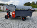 Грузовой электрический трицикл Pаntеrа Гидрaвлика 75V1500W в Хабаровске